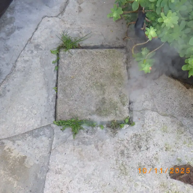 fumee blanche gers fuites