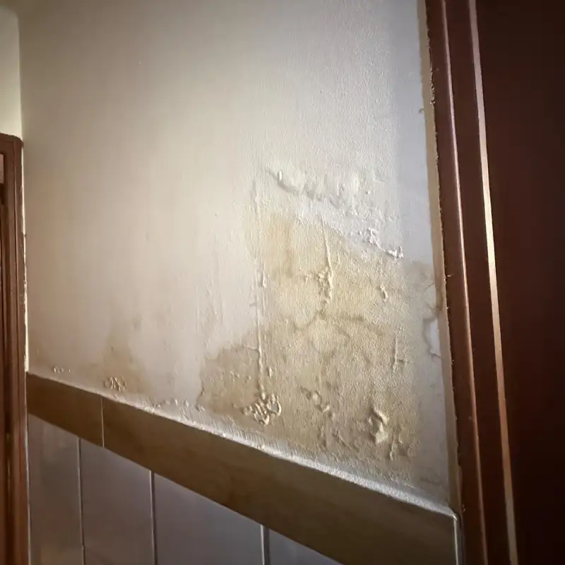 Humidité dans un logement à Auch : comprendre les causes et agir 1 fuite eau humidite gers fuites plombier